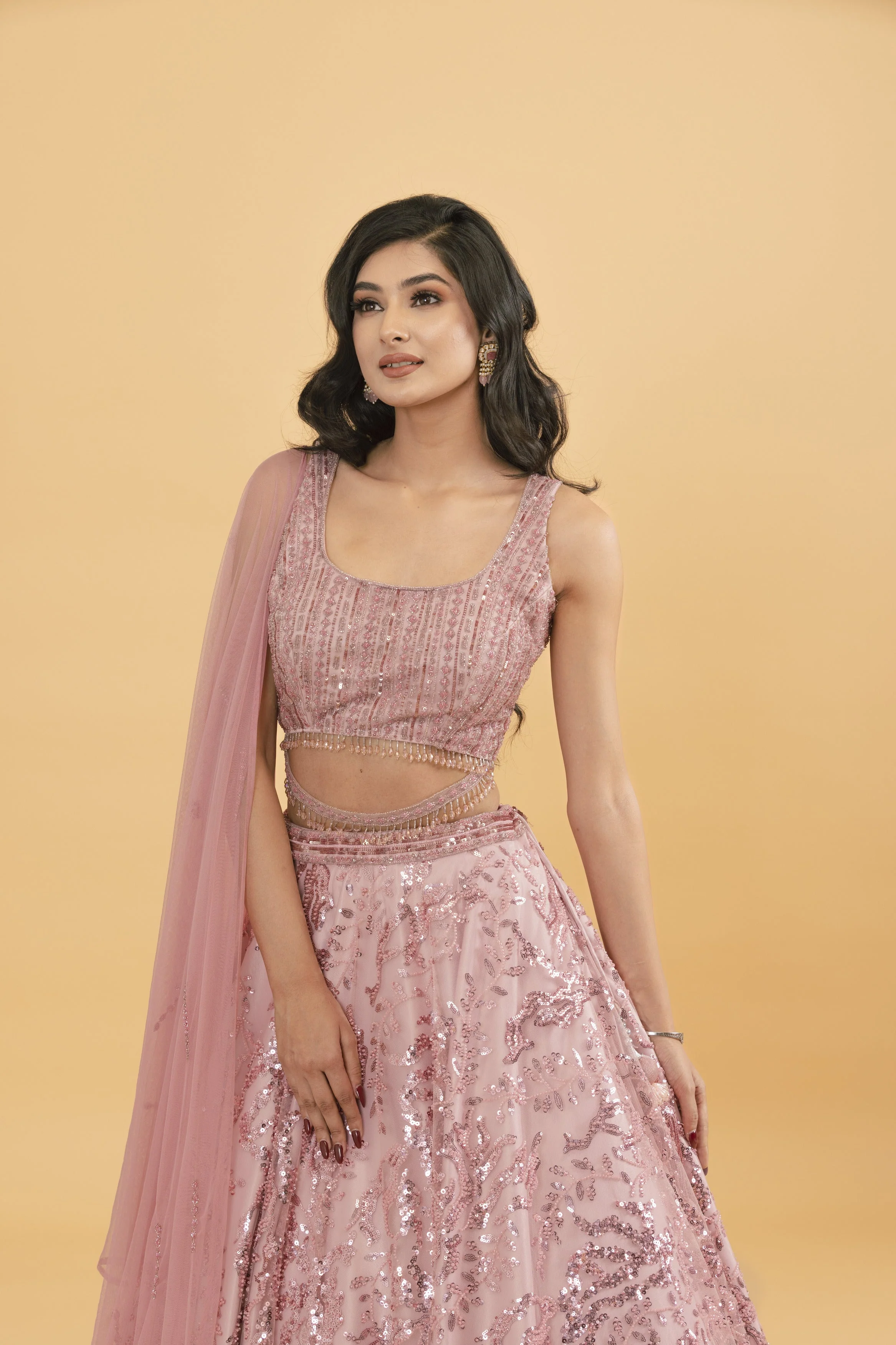 Pink Net Lehenga with Sequins & Pot Embellishments - Image 4
